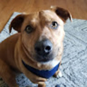 Meet your Posher, Dale